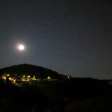 Rosa Di Mare Finale Ligure