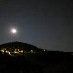 Rosa Di Mare Finale Ligure